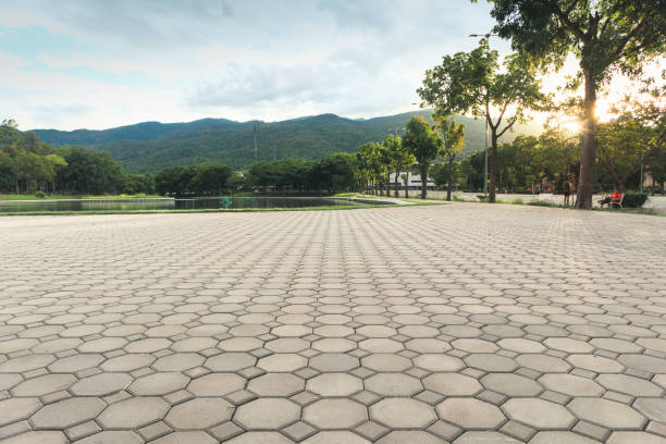 Best Residential Paver Driveway  in Cotati, CA