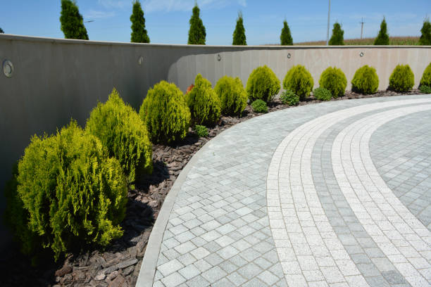 Trusted Cotati, CA Driveway Pavers Experts
